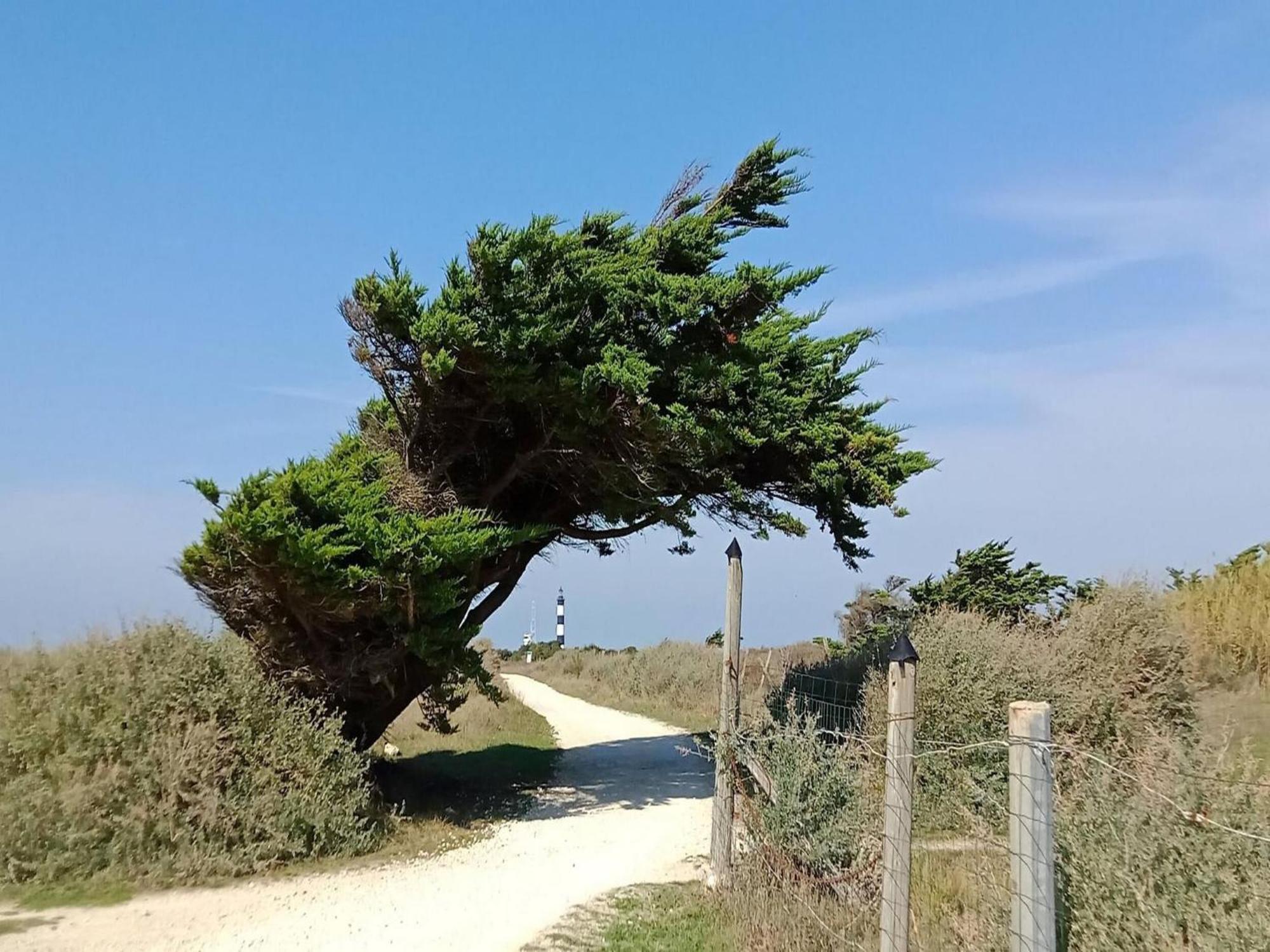 Les Hameaux Des Sables Vignie Saint Georges D Ol Ron Holiday Home Not Detached Dış mekan fotoğraf
