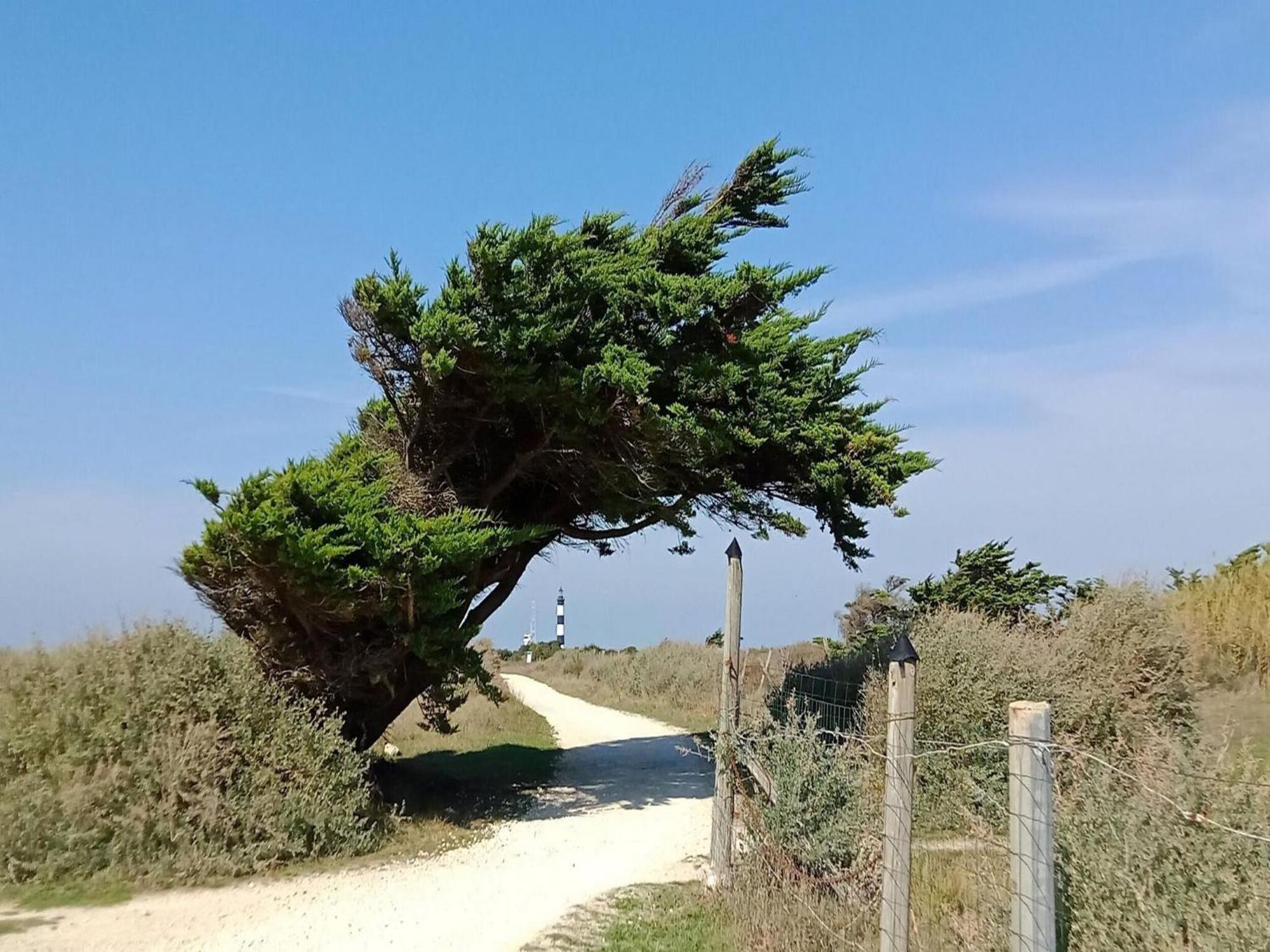 Les Hameaux Des Sables Vignie Saint Georges D Ol Ron Holiday Home Not Detached Dış mekan fotoğraf