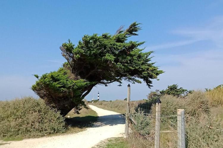 Les Hameaux Des Sables Vignie Saint Georges D Ol Ron Holiday Home Not Detached Dış mekan fotoğraf